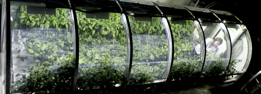 The Prototype Lunar/Mars Greenhouse project will support current research in space to cultivate and grow vegetables for food, as well as growing plants to sustain life support systems. Image credit: Designboom