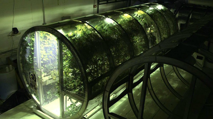 NASA scientists designed an inflatable cylinder greenhouse that could help astronauts grow food when arriving at other planets. image credit: Designboom