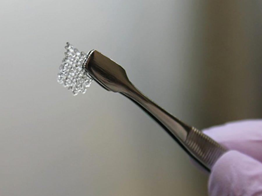3D printed ovaries