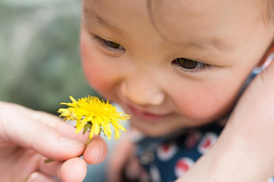 Human Sense of Smell