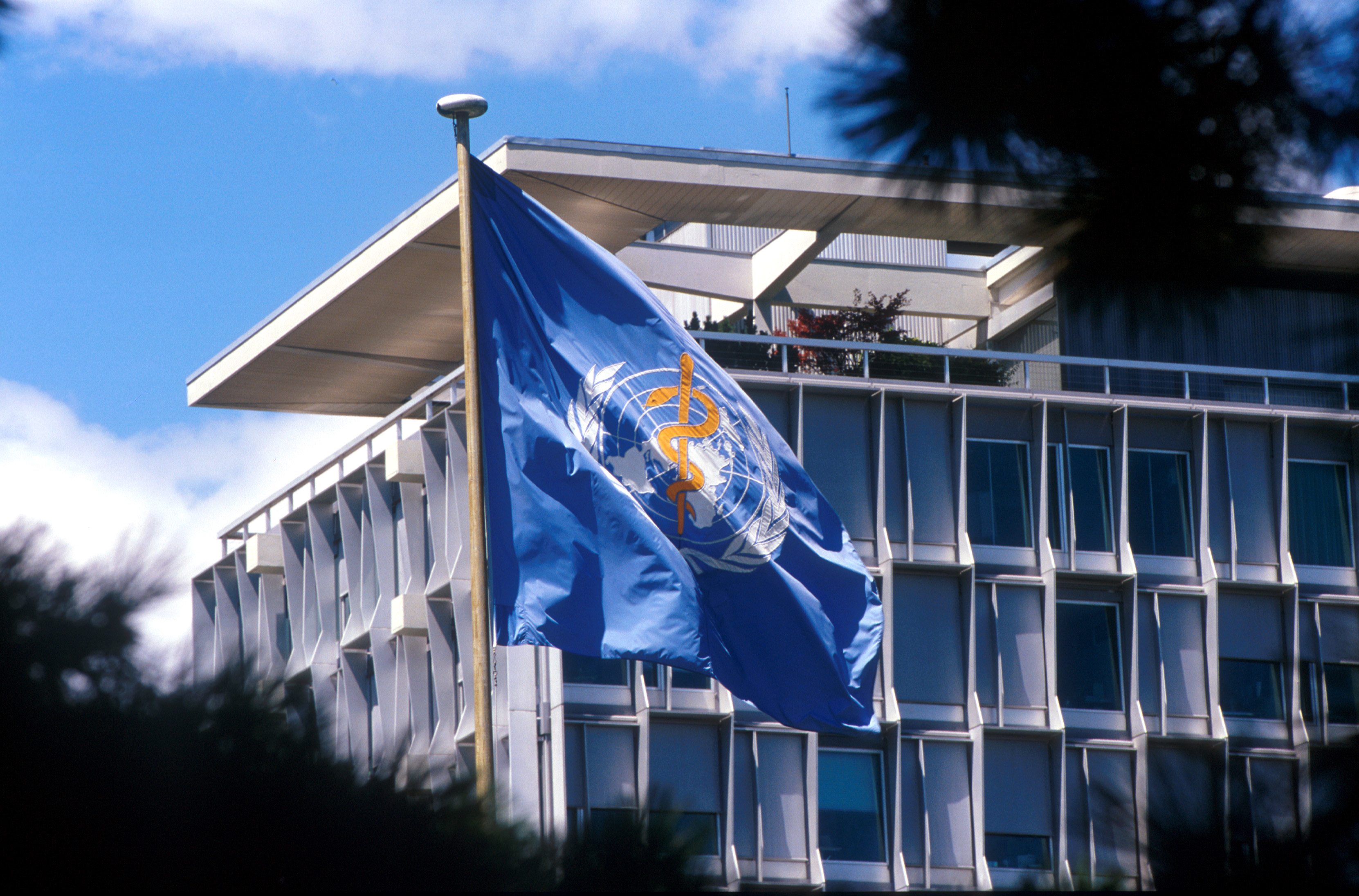 A view of the World Health Organization headquarters
