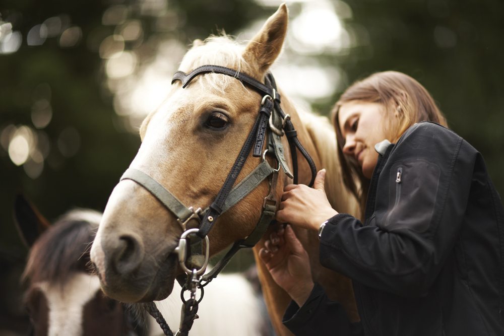 Woman-caring-for-horse-Thin