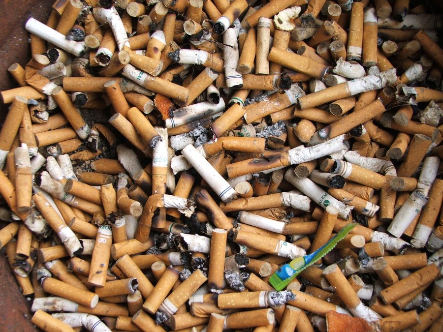 Cigarette Butts