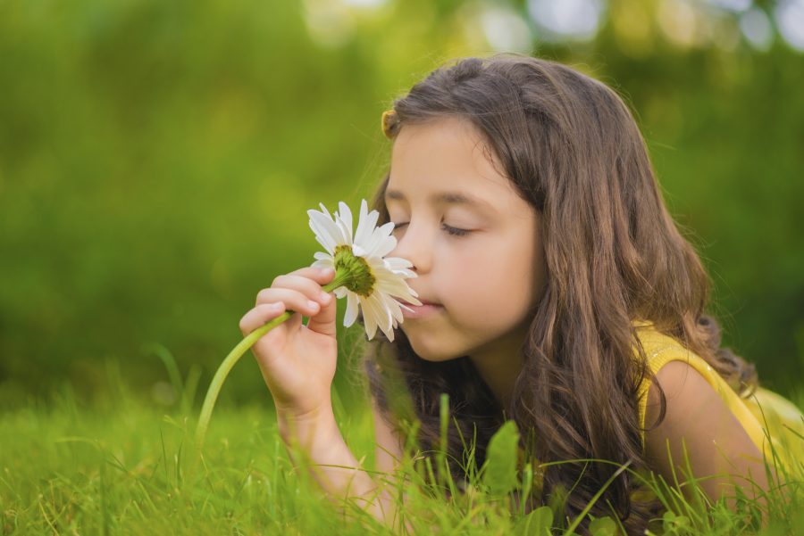 Little girl smelling a white gerber