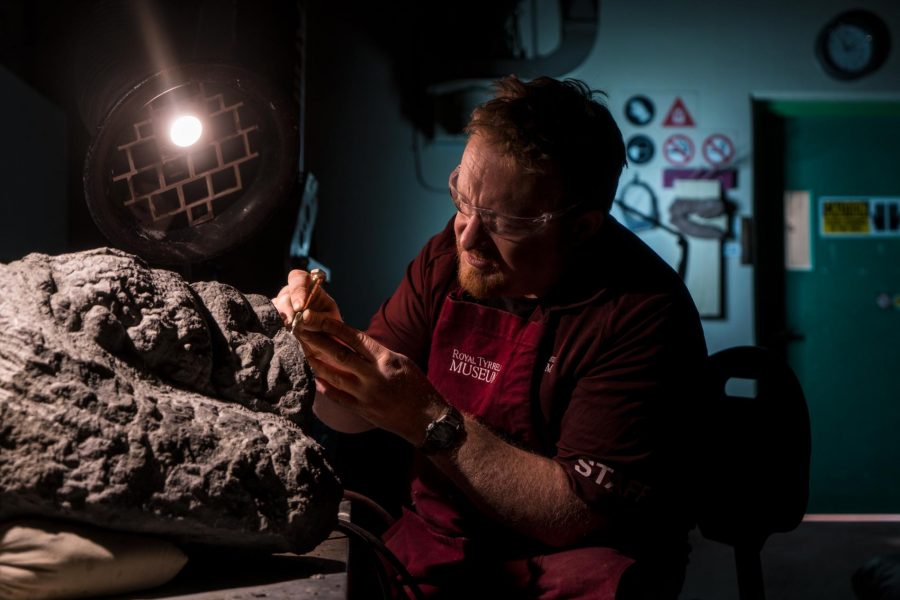 The world's best-preserved dinosaur