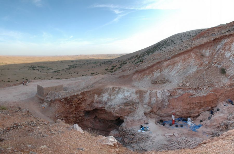 Homo Sapiens Fossil