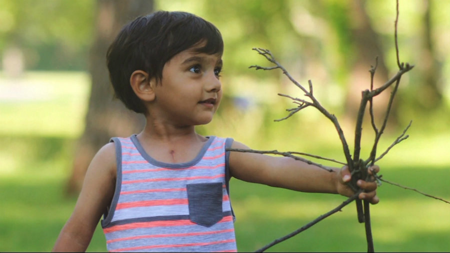 2-year-old Ethan Chandra. Image credit: Erie News Now
