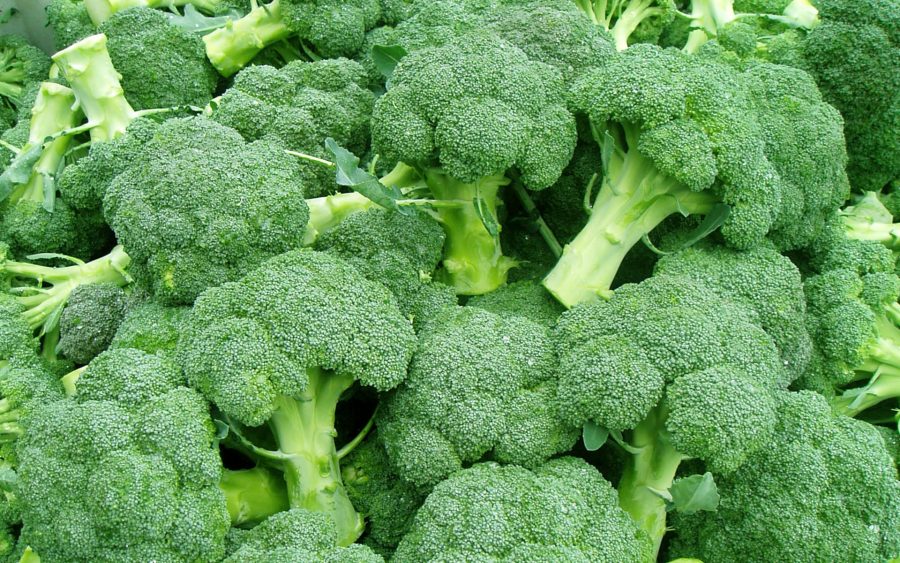 Broccoli, Diabetes