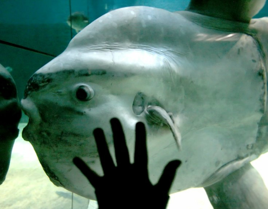 Image credit: Reuters / Tony Gentile / IB Times