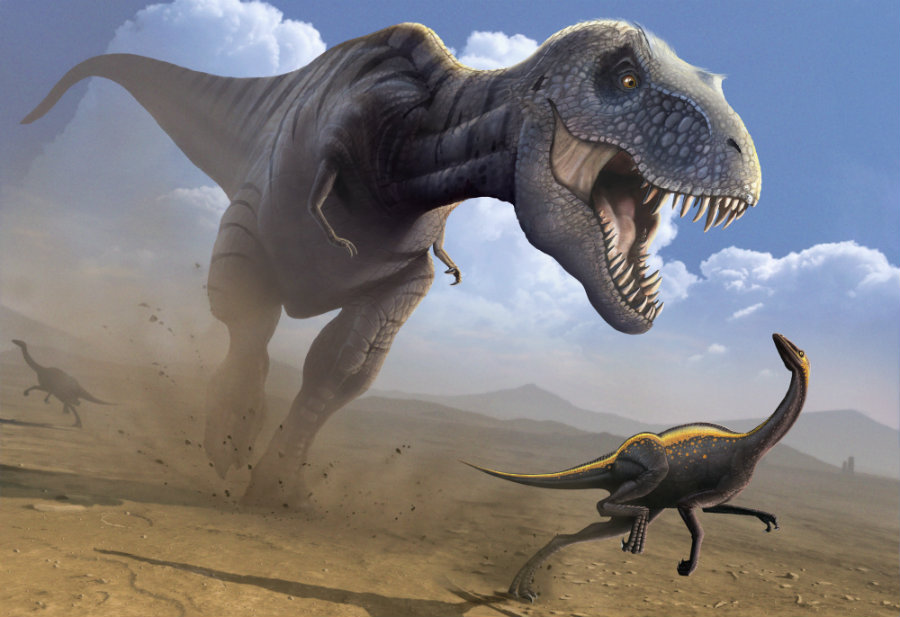 Image credit: Dinopedia.wikia.com