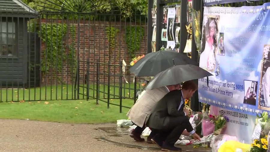 Princes William and Harry paying tribute to Diana. Image Credit: Sky News