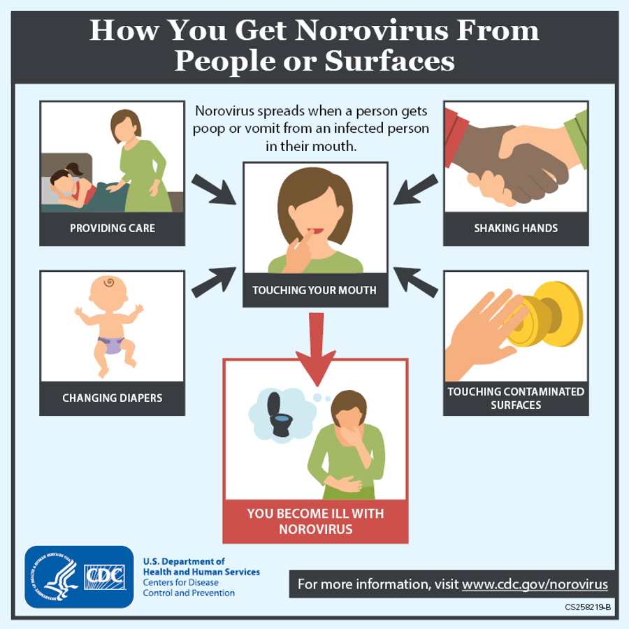 Information on Norovirus transmission. Image Credit: CDC