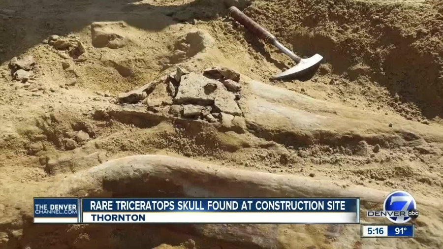Image credit:  Denver7 – The Denver Channel  / Youtube