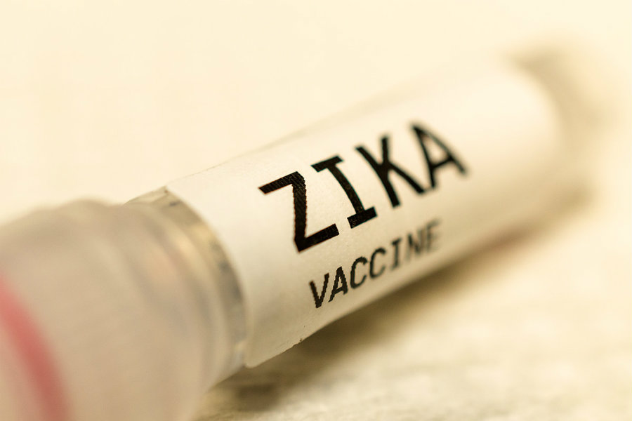 US scientists have developed a new plant-based vaccine for treating the Zika virus. Image credit: Manjurul Haque / EyeEm / Getty / New Scientist
