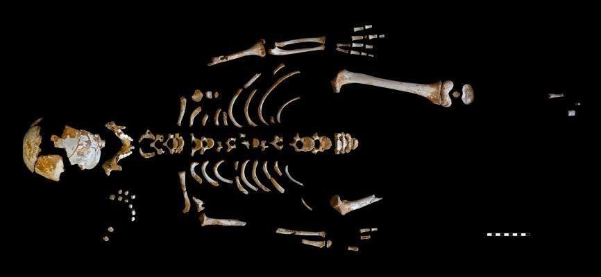 Skeleton of a Neanderthal boy unearthed in El Sidrón cave in Spain. Image credit: Paleoanthropology Group MNCN-CSIC