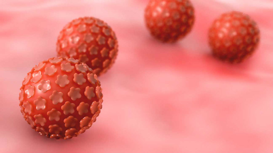 HPV is a group of over 150 related viruses, and each virus is given a different number. Image credit: HealthLine