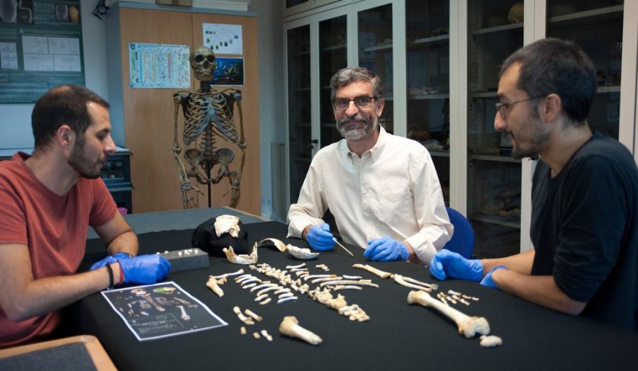 Researchers examine Neanderthal boy's bones. Image credit: CSIC Communication