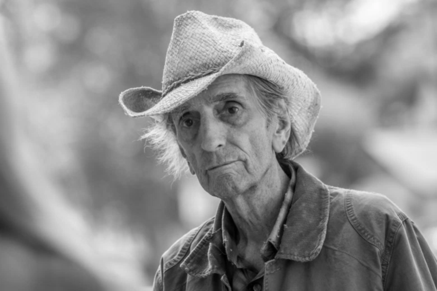 Harry Dean Stanton. Image Credit: IndieWire