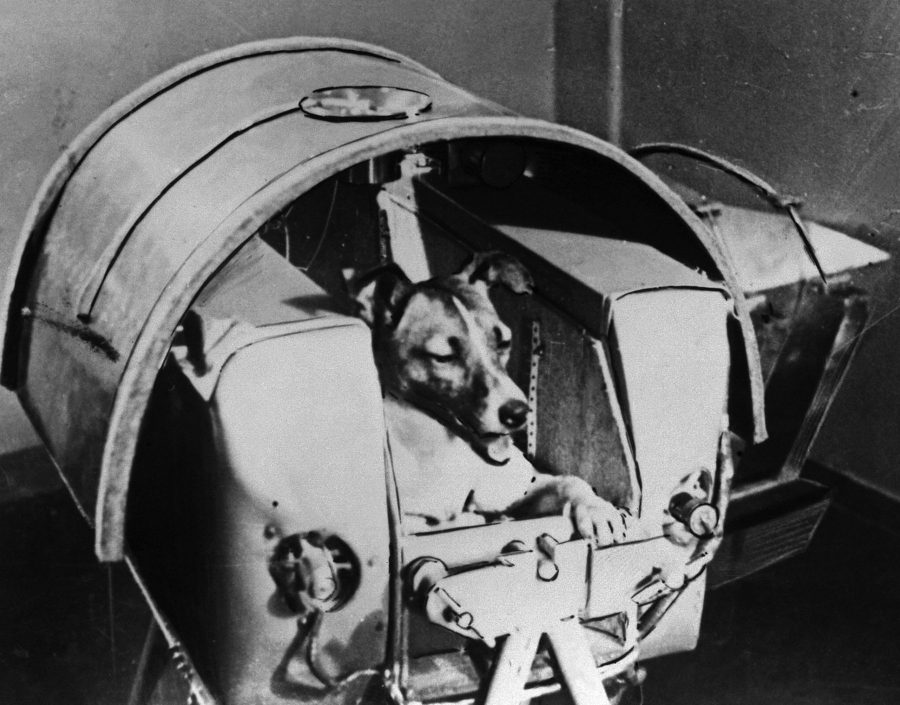 Soviet Union, Sputnik 60 year Legacy, Laika Sputnik 2