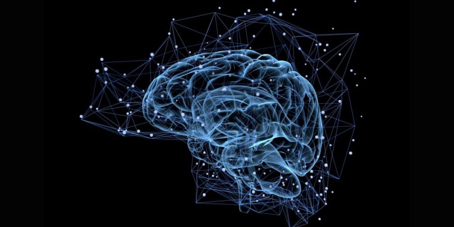 Brain functions after death, Life after death, Mind works after death
