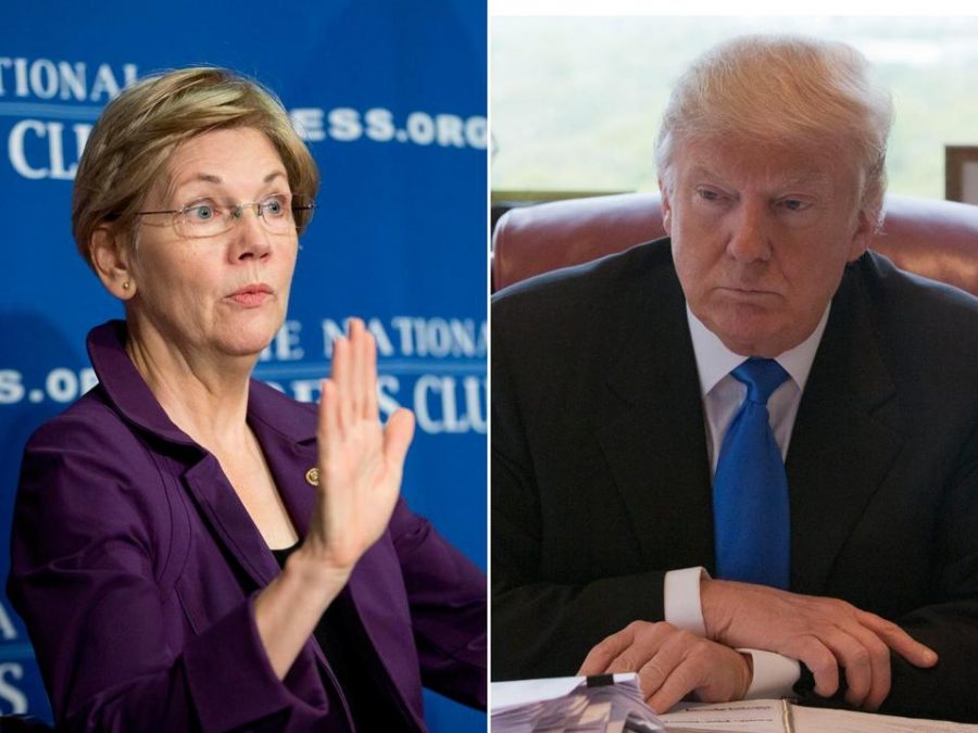 Senator Elizabeth Warren, President Donald Trump, Native American code talkers, White House racial slur