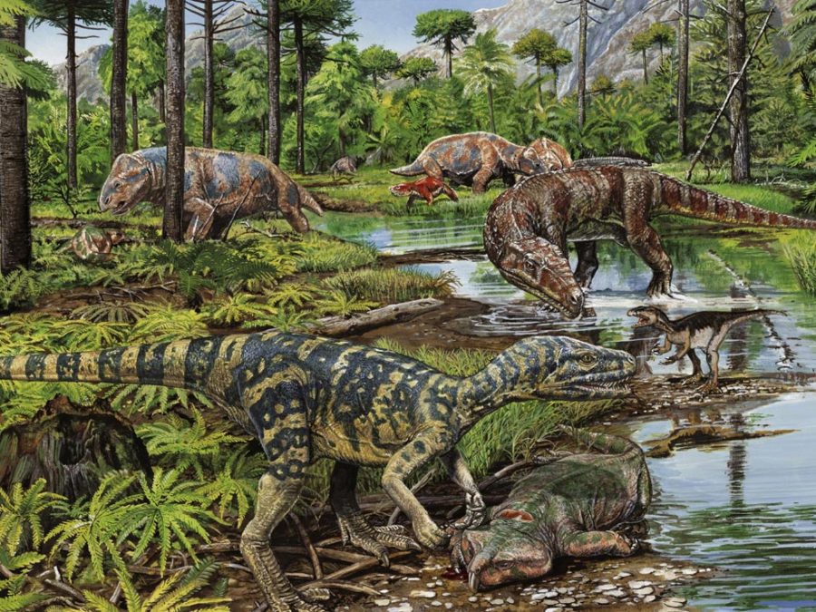 Mammals in Mesozoic, Mammals and dinousaurs, Mesozoic Era