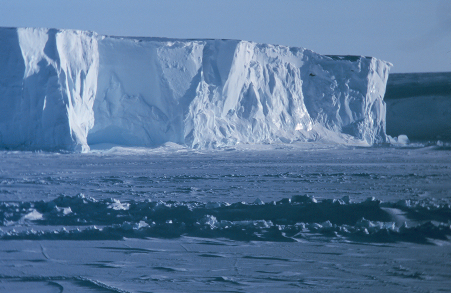 Antarctica's Ross Ice Shelf, Wildlife underneath the shelf, Light passing through the shelf