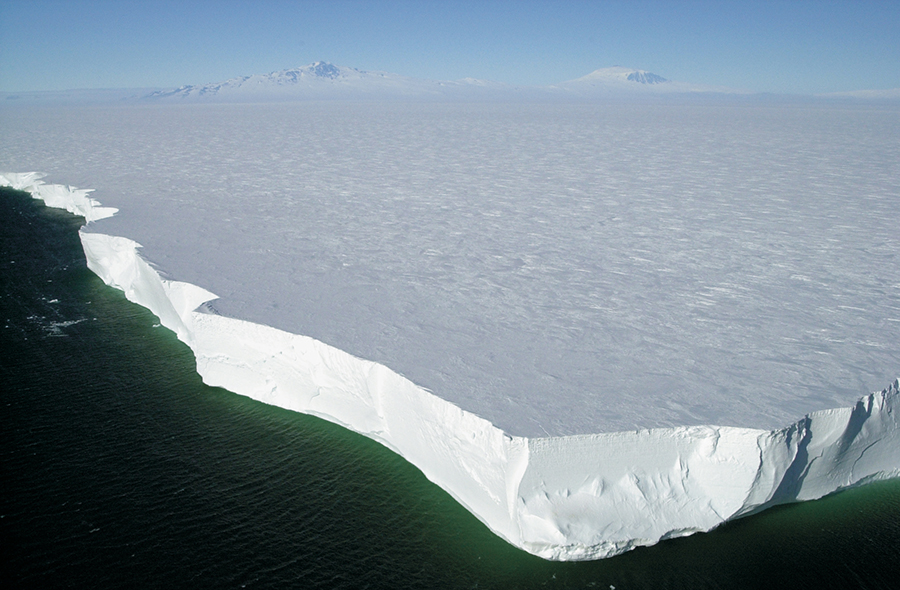 Antarctica's Ross Ice Shelf, Wildlife underneath the shelf, Light passing through the shelf