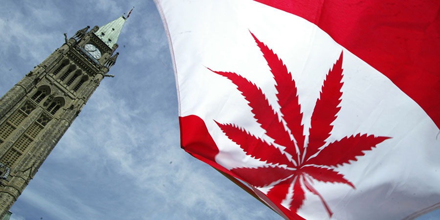 Canada spent more on marijuana than wine, Canada's bureau of statistics, Canada legalizing marijuana, Canada, Weed