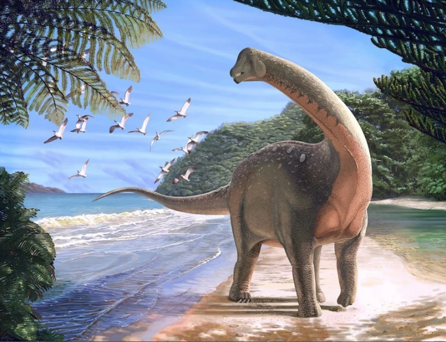 Mansourasaurus shahinae, Mansoura University, Dinosaur fossil in Egypt, New dinosaur species, Titanosaur