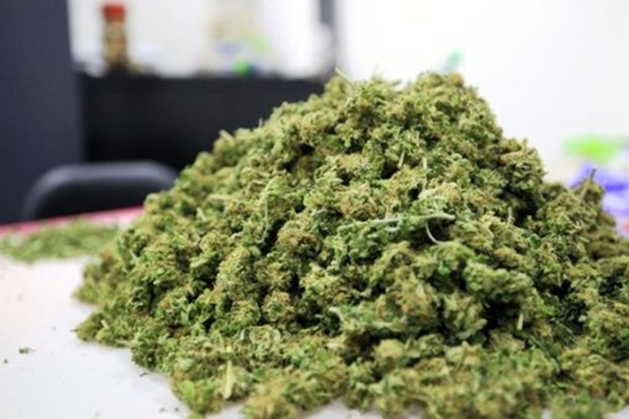 Stoned drivers just as dangerous as drunk drivers, Every April 20 at 4:20 pm, Legal marijuana in the US