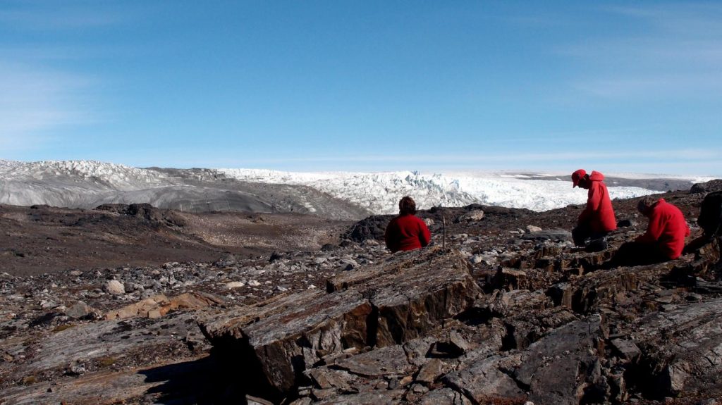 Greenland. fossils, rocks