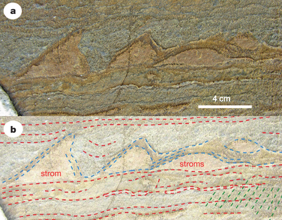 greenland, fossils, rocks
