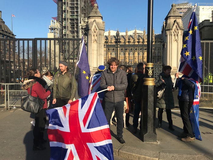 UK EU Flag & Protest