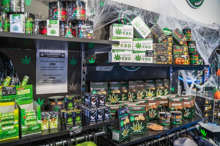 5 Things to Consider Before Starting a CBD Business