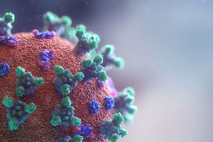 University of Pittsburgh Scientists Seek FDA Approval for Potential Coronavirus Vaccine