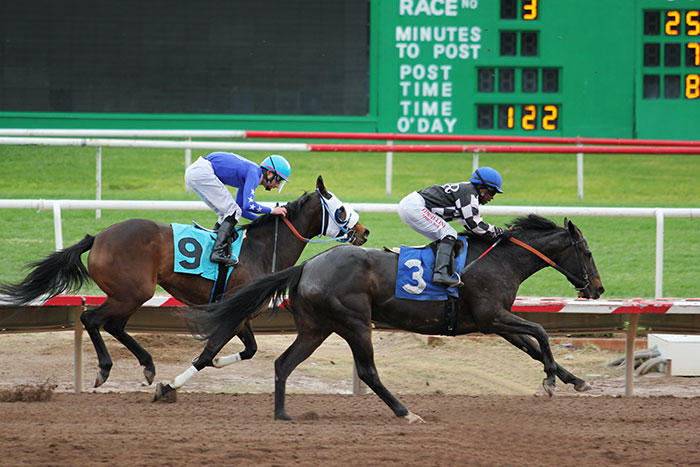 Put Some Brains Behind Your Racing Bets with Some Simple Tips