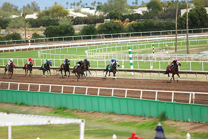 Put Some Brains Behind Your Racing Bets with Some Simple Tips