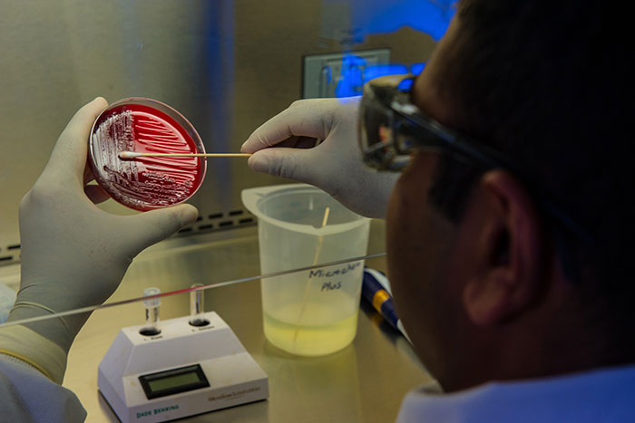What Can You Find About Your Health from a DNA Test