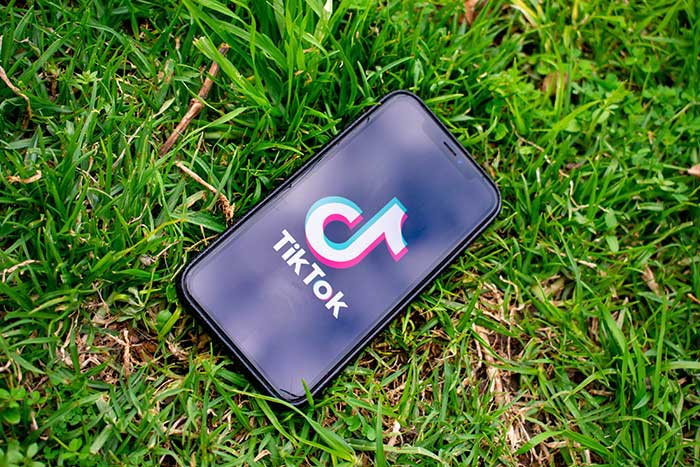 Two TikTok Stars with 19 Million Followers Face Prison Terms for Partying During a Pandemic