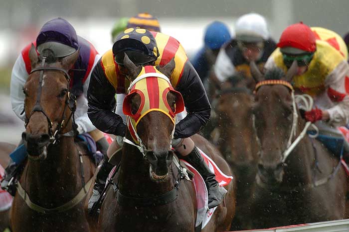 New Timing Technology Set For Cheltenham Festival Appearance