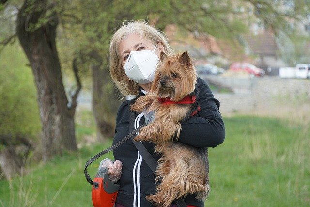Researchers Suspect a Child Infected With Coronavirus May Have Been Infected By a Dog