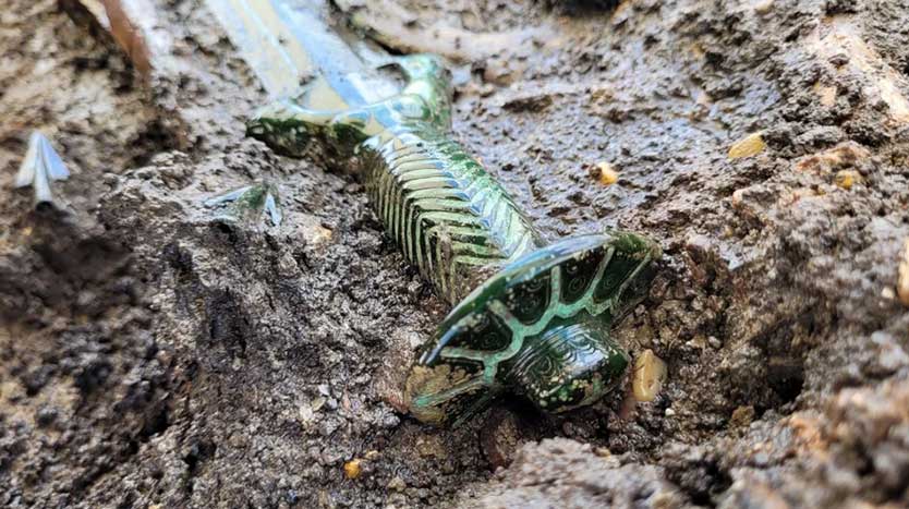 Archaeologists Unearth 3,000-Year-Old Bronze Sword in Grave with Three Bodies