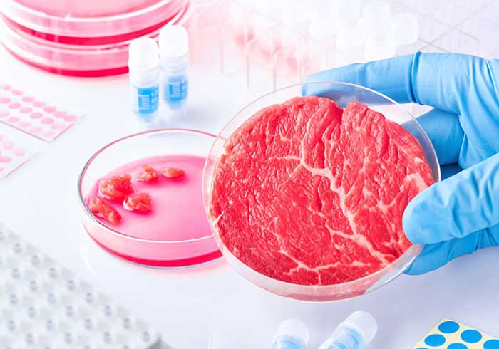 US Govt Approves Lab-Grown Meat for Human Consumption