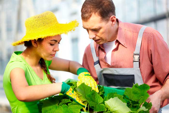 Carl Casale on Revolutionizing Agriculture: The Transformative Role of Technology in Farming and Agribusiness