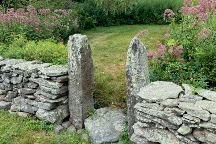 Native Landscaping in Vermont: A New Paradigm